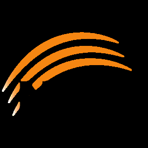 National Testing Service (NTS)